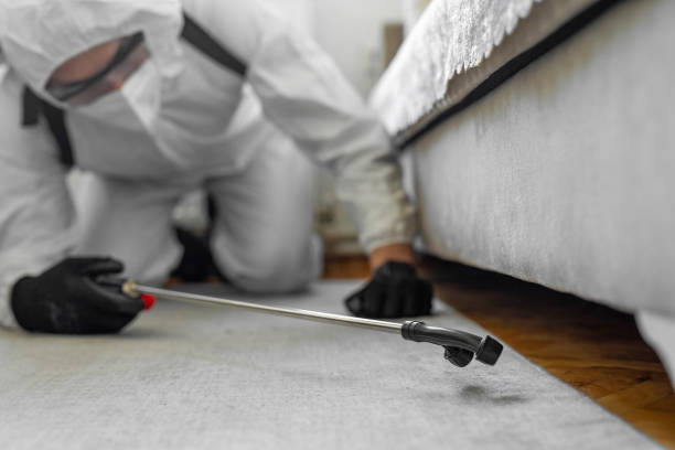 Professional Fumigation Services technician working in Lake County County, MI